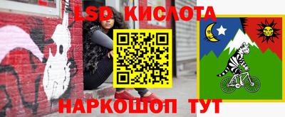 меф Кингисепп