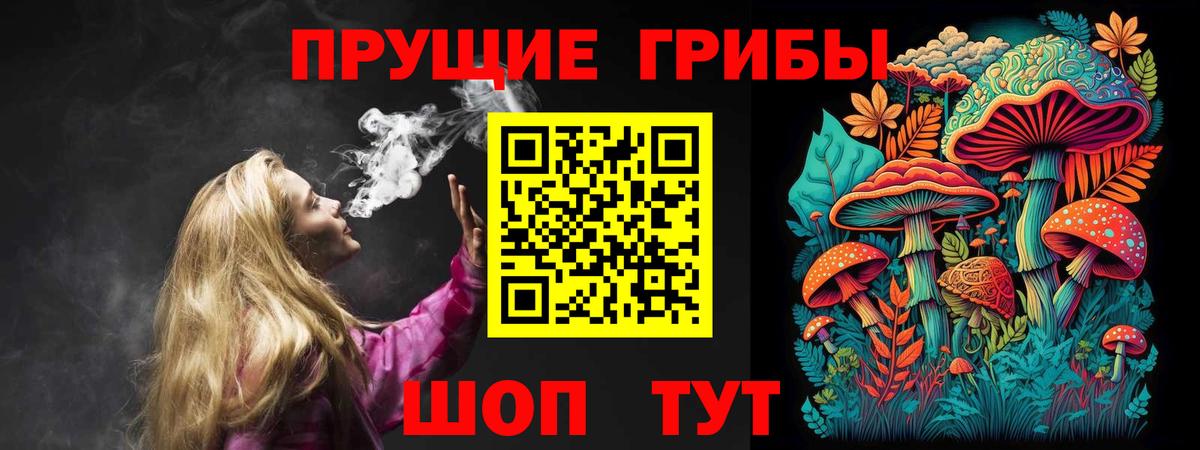 Елизово  Псилоцибиновые грибы мицелий  Вход с VPN 