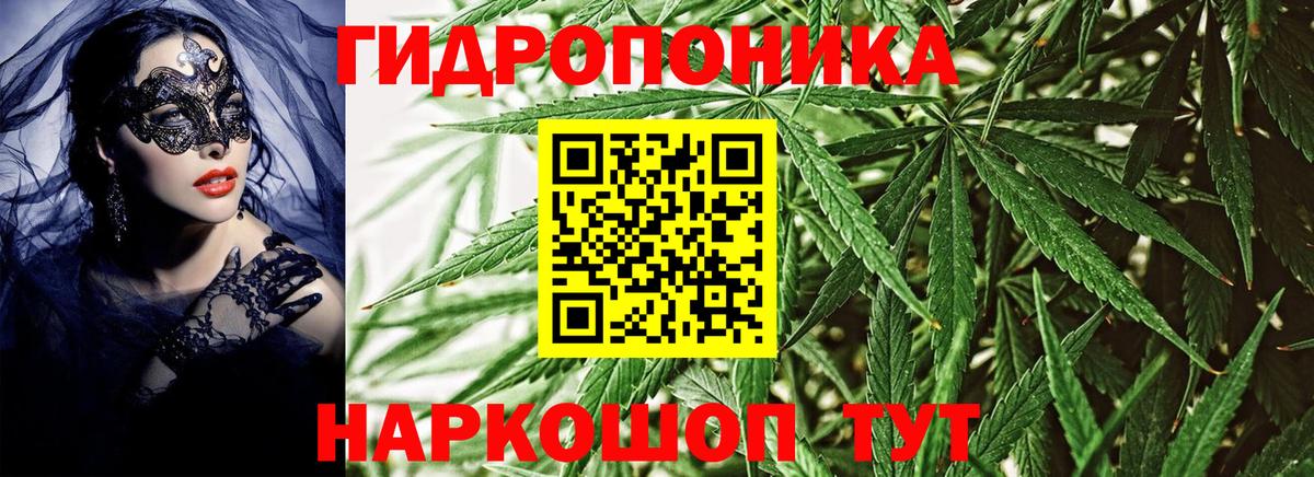 Марихуана марихуана Елизово